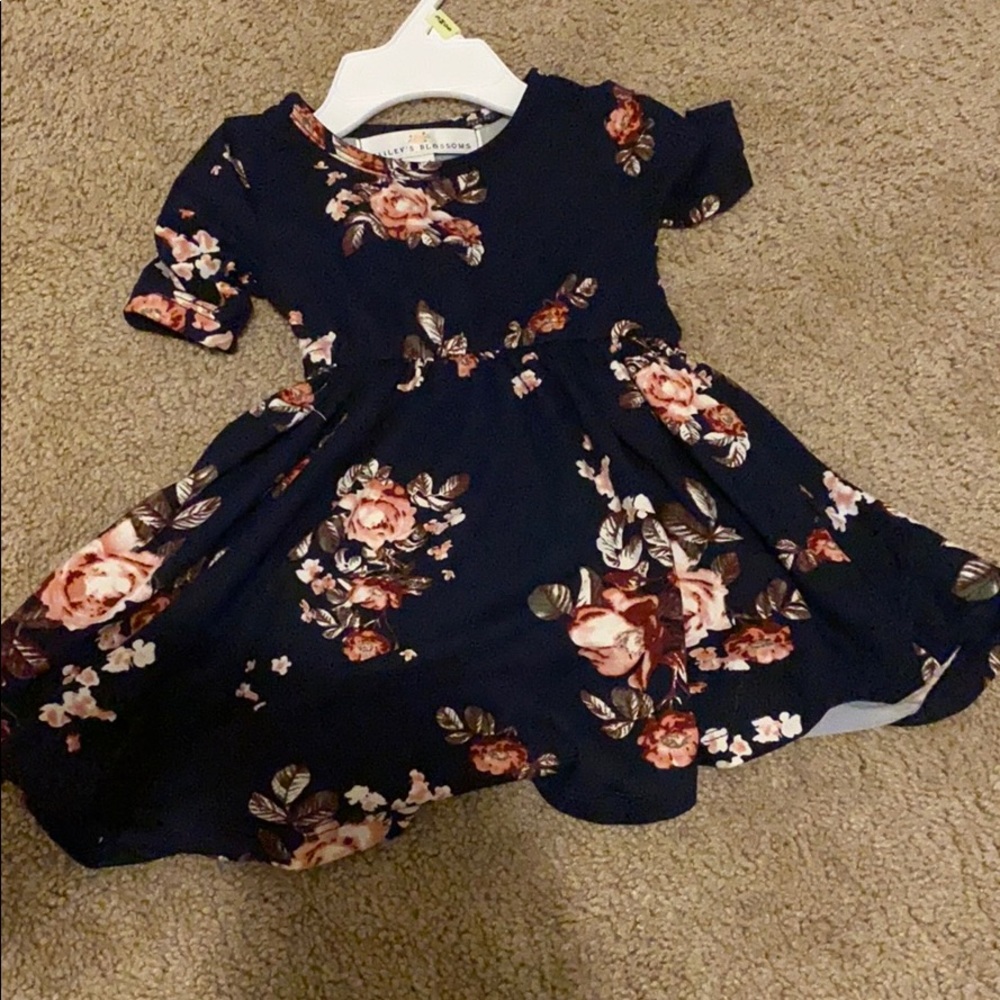 Bailey blossoms 0-3 dress